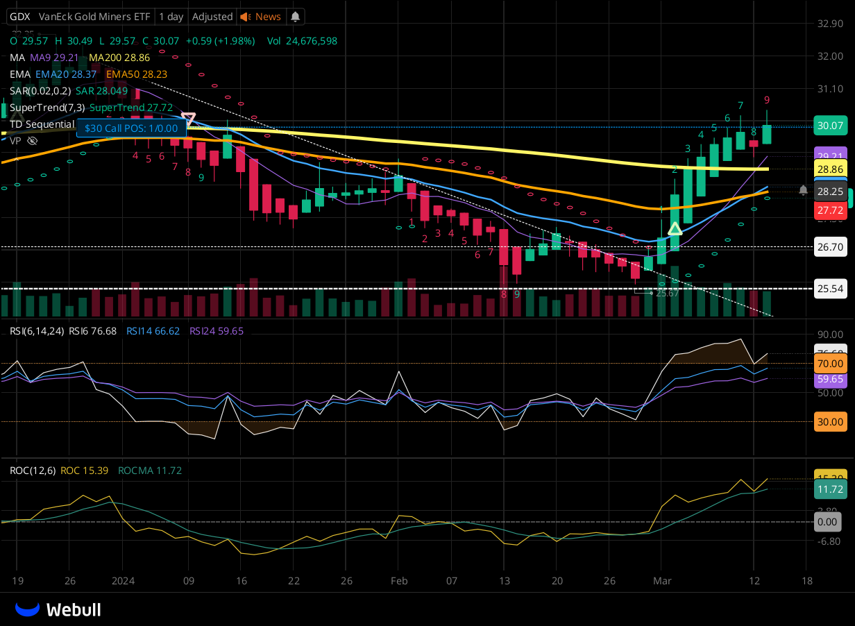 Chart for GDX as of 2024-03-13